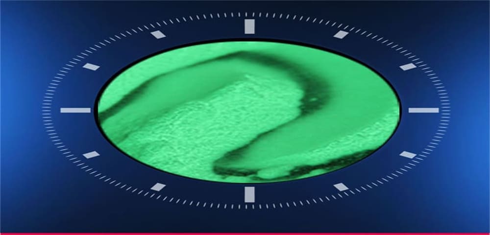 luminous powder of dtf film